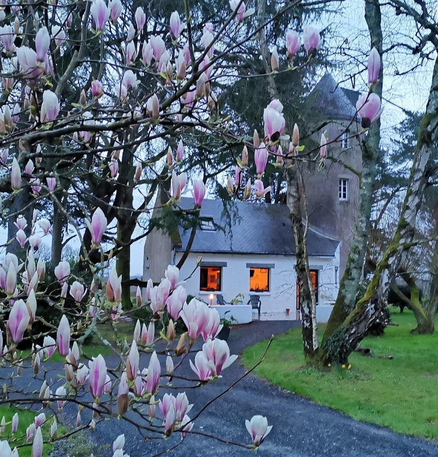 Le Moulin De La Retardiere Orvault Dış mekan fotoğraf