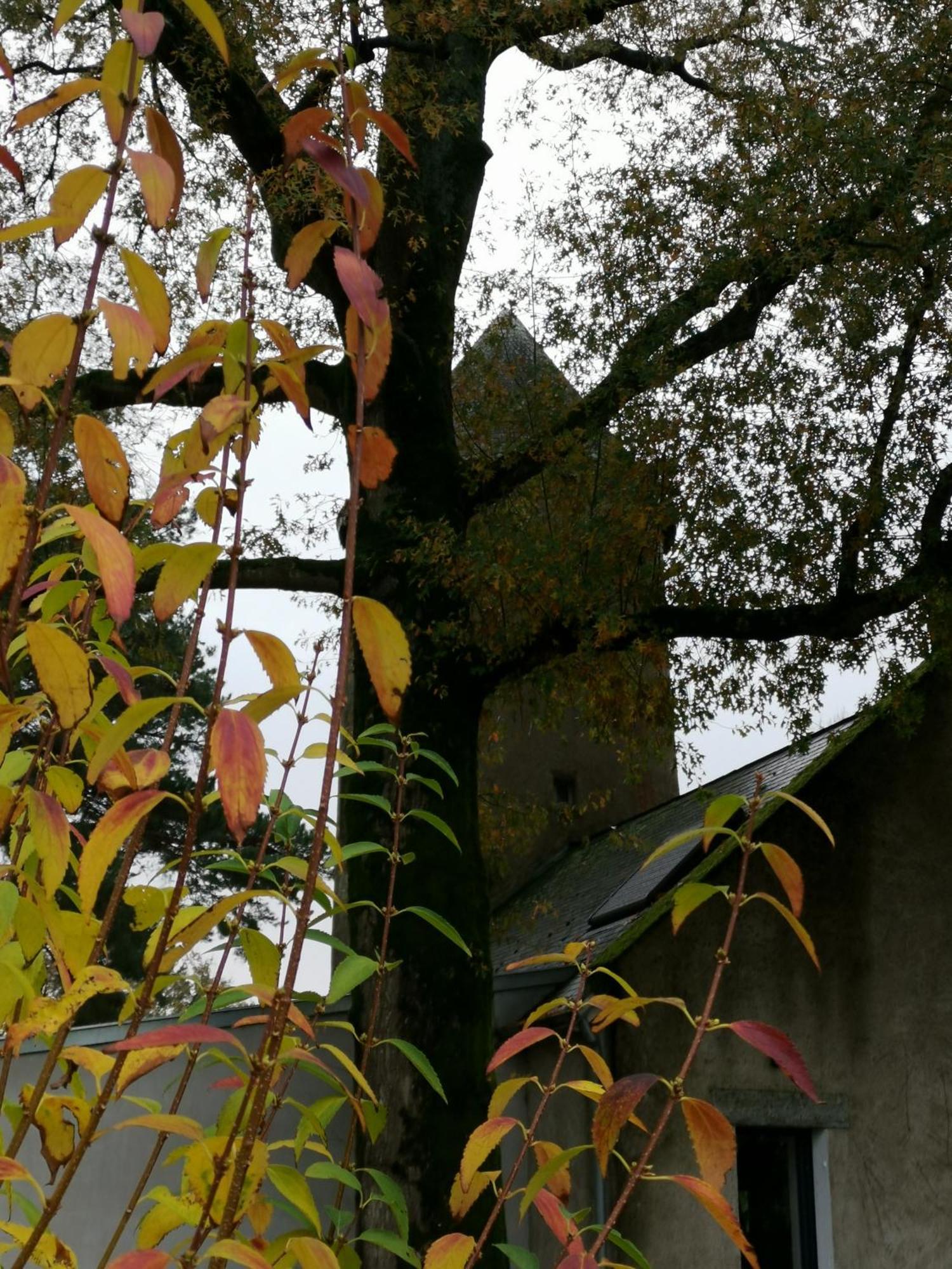 Le Moulin De La Retardiere Orvault Dış mekan fotoğraf