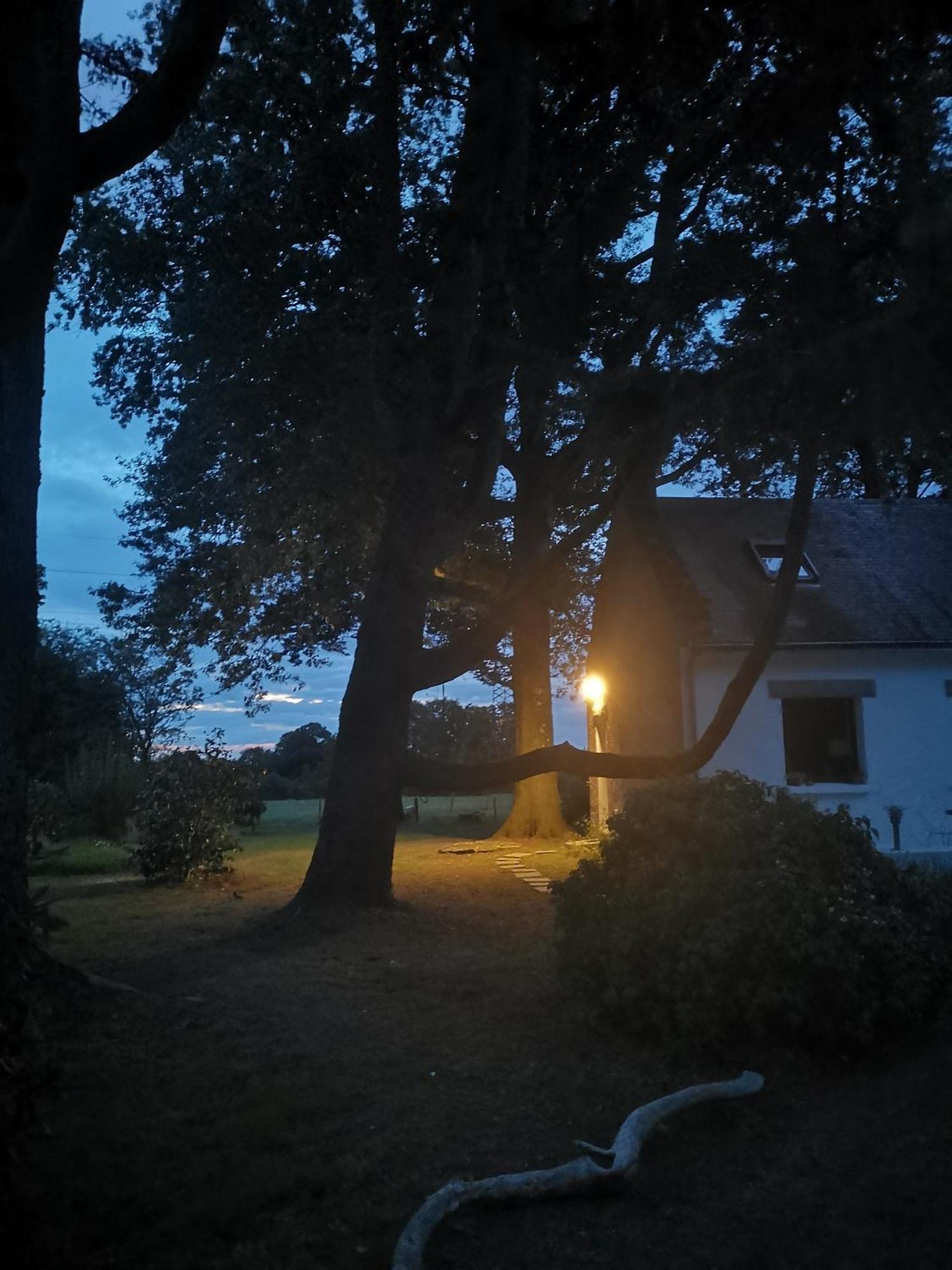 Le Moulin De La Retardiere Orvault Dış mekan fotoğraf