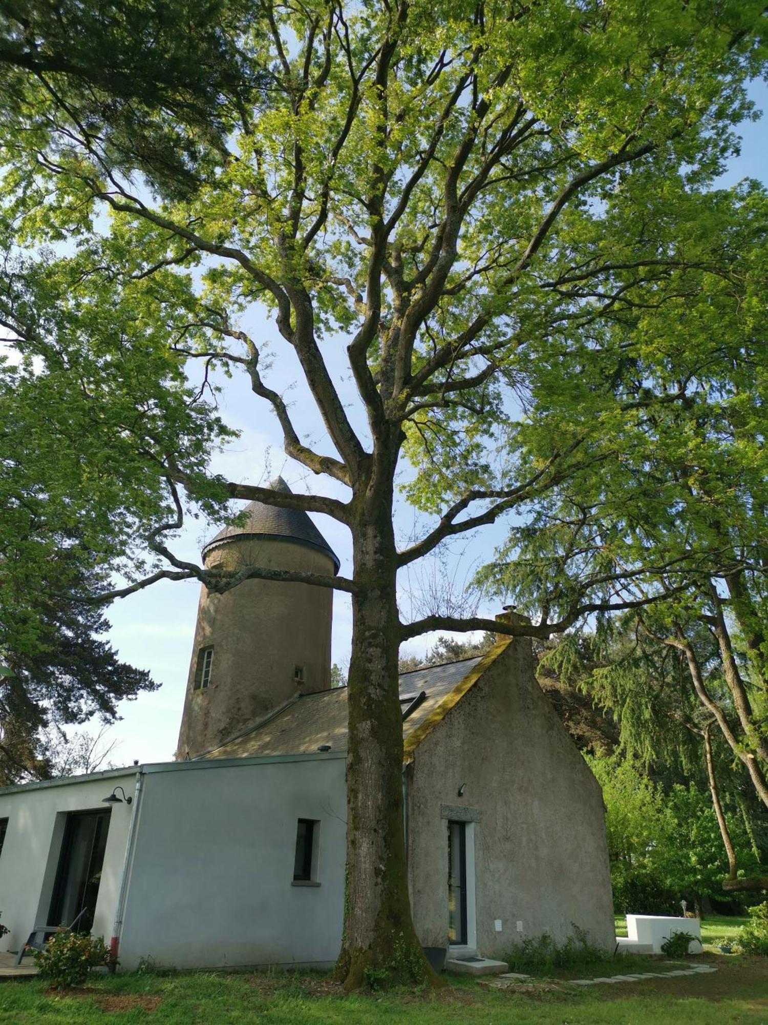 Le Moulin De La Retardiere Orvault Dış mekan fotoğraf